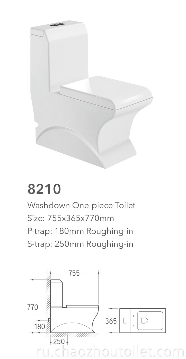 8210 One Piece Toilet